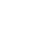 ICONS-08